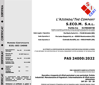 PAS 24000:2022