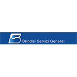 bsg–